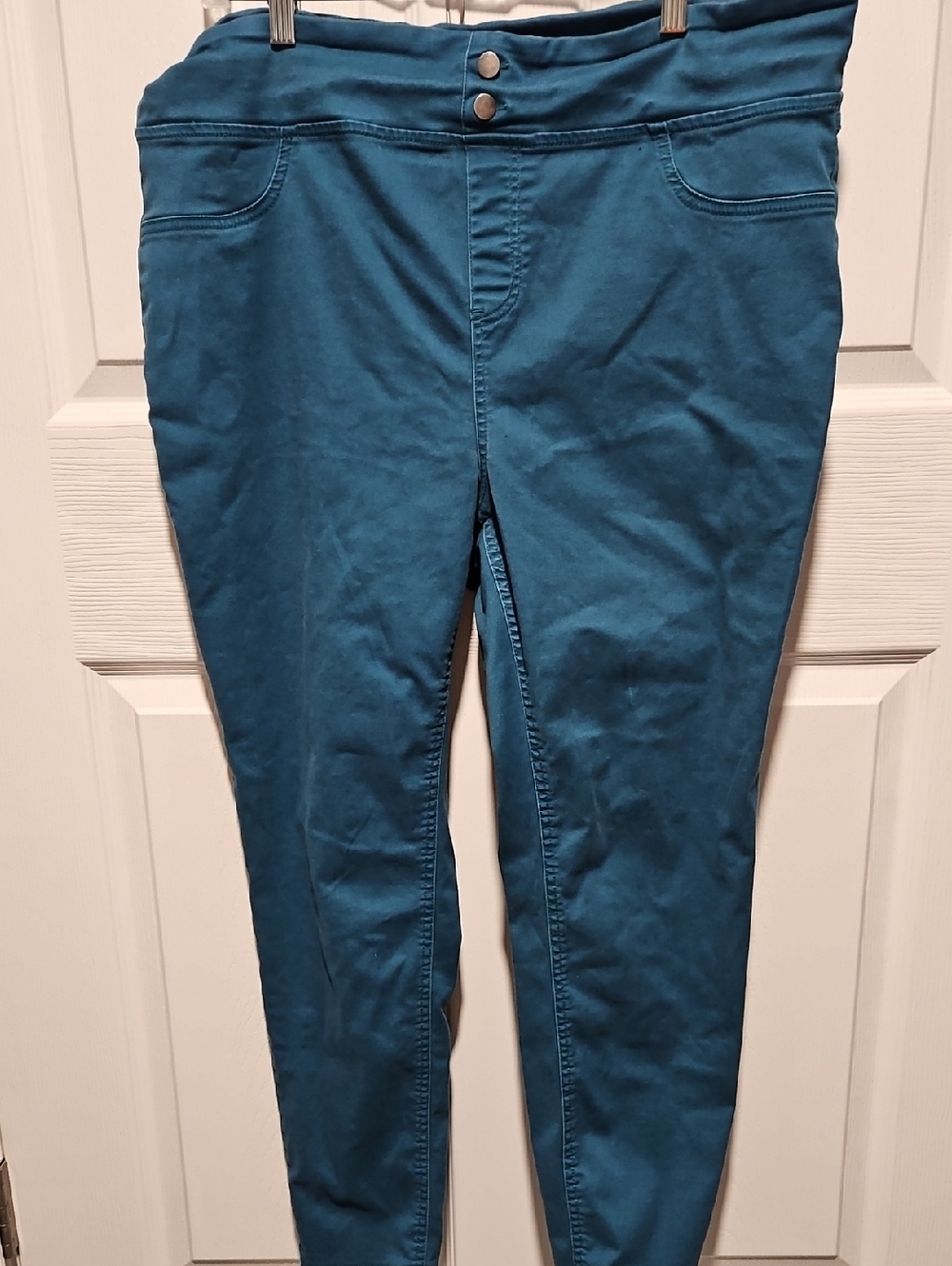 Terra & Sky Teal Skinny Pant  Pull On with Double-Button Waist